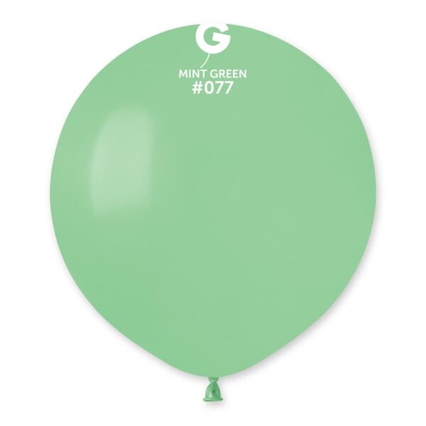 G150: #077 Mint Green 157758 Standard Color 19″